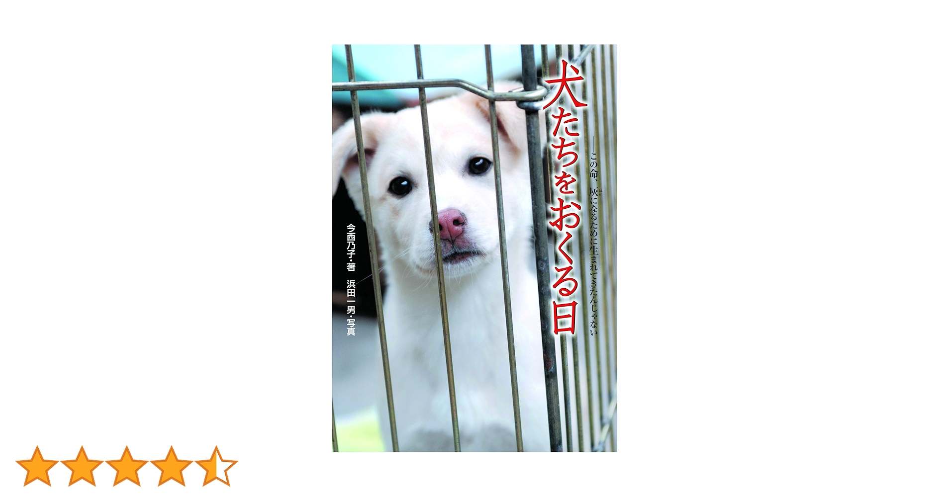 Amazon.co.jp: 犬たちをおくる日: この命、灰になるために生まれてきた Amazon.co.jp: 犬たちをおくる日: この命、灰になるために生まれてきた